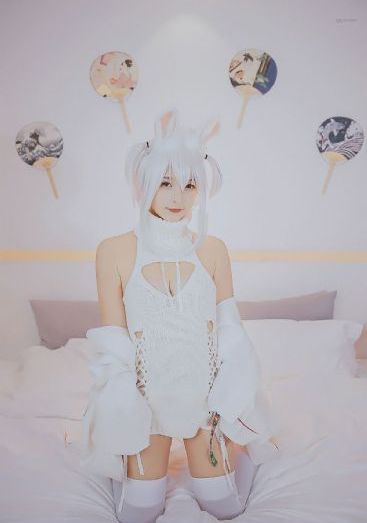 主页