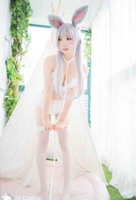 美女搞鸡